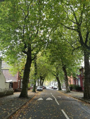 Liverpool townhouse